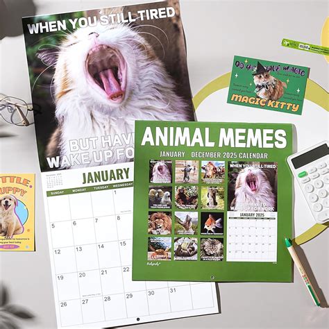 2025 Wall Calendar Funny