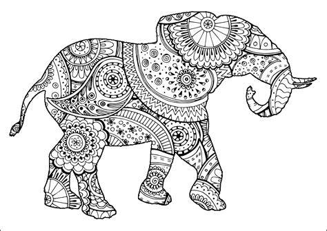 Adult Coloring Elephant