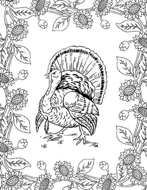 Adult Coloring Thanksgiving