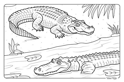 Alligator Coloring Pages Printable