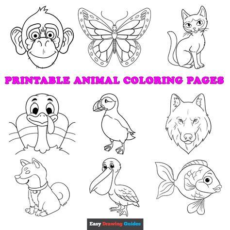 Animal Colouring Pictures Printable