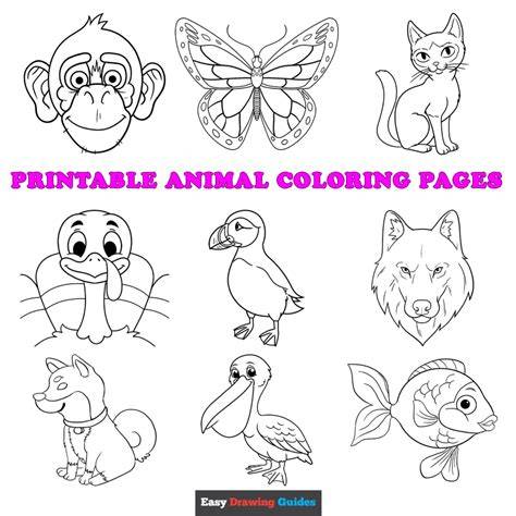 Animals For Colouring