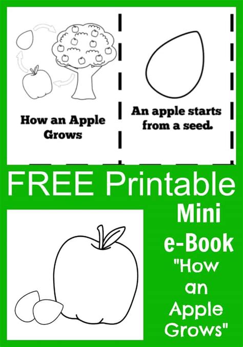 Apple Book Printable