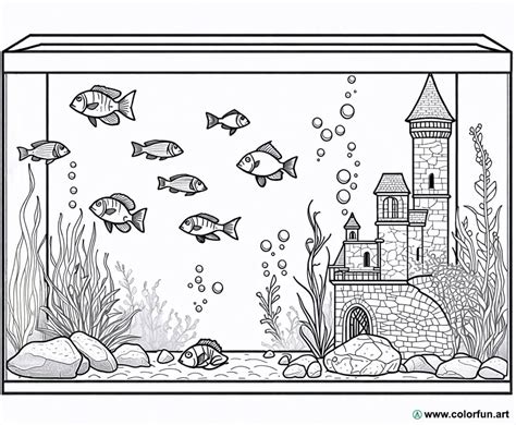 Aquarium Coloring