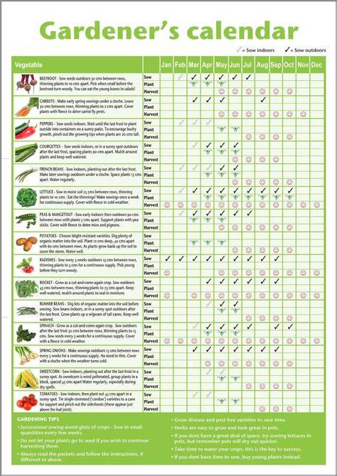 Arizona Vegetable Gardening Calendar