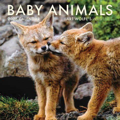 calendar with animals
