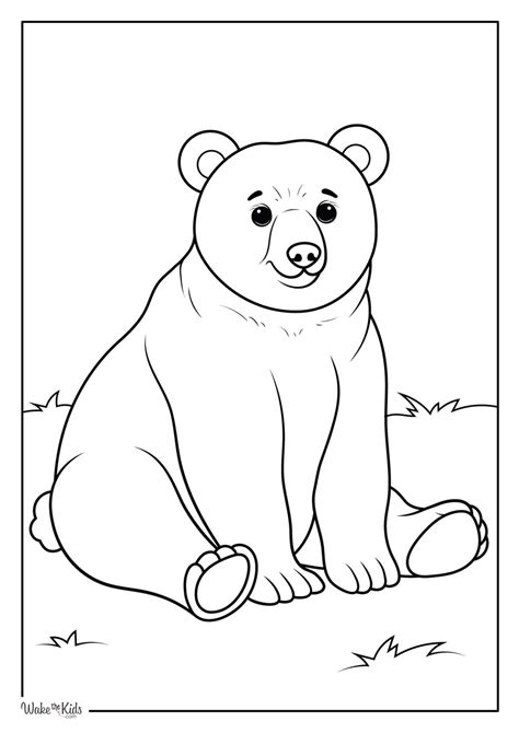 Bear Coloring Book Page