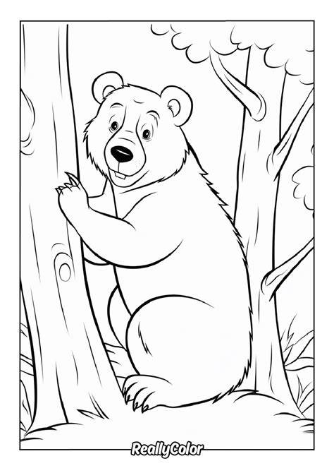 Bear Coloring Pages Free Printable