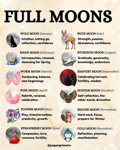 Beauty Moon Calendar