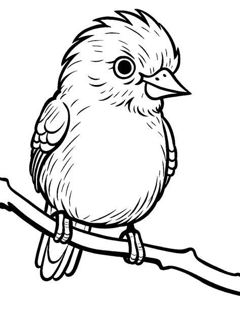 Bird Pictures Coloring
