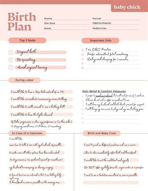 Birth Plan Template Free Printable