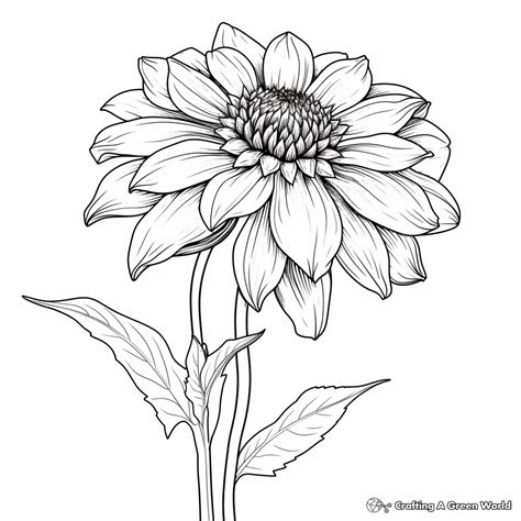 Black And White Flower Printable