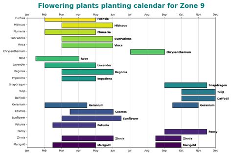 zone 9 planting calendar