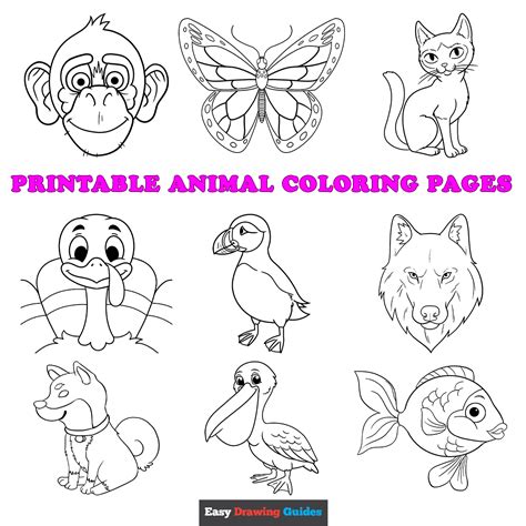 Book Colouring Images