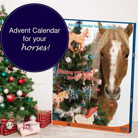 horse advent calendar