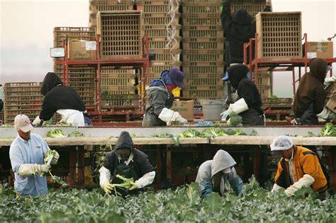 migrant farm worker preschool calendar