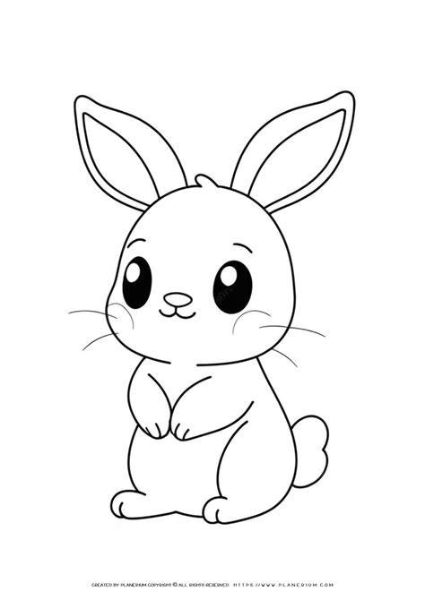 Bunny For Colouring