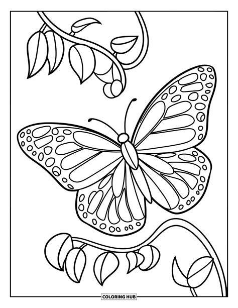 Butterfly Free Printable Coloring Pages