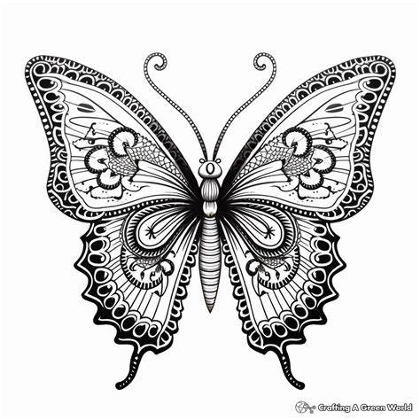 Butterfly Mandala Coloring