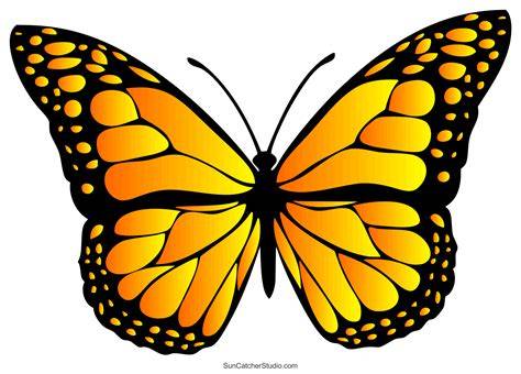 Butterfly Printable Colored
