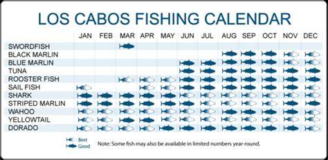 Cabo San Lucas Fishing Calendar