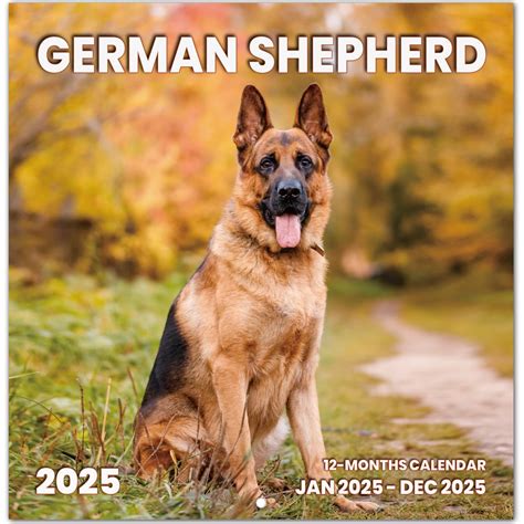 Calendar German Shepherd