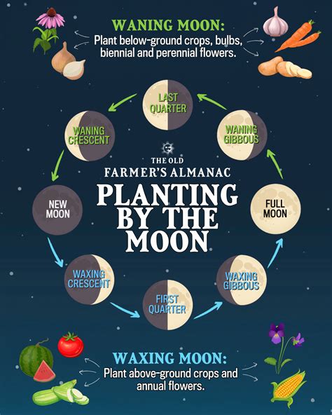 moon phase gardening calendar