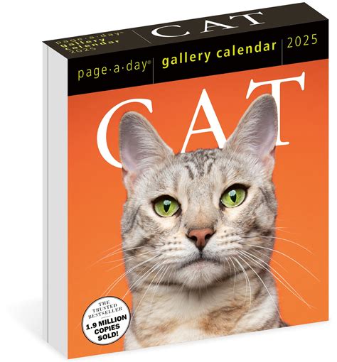 Cat A Day Calendar