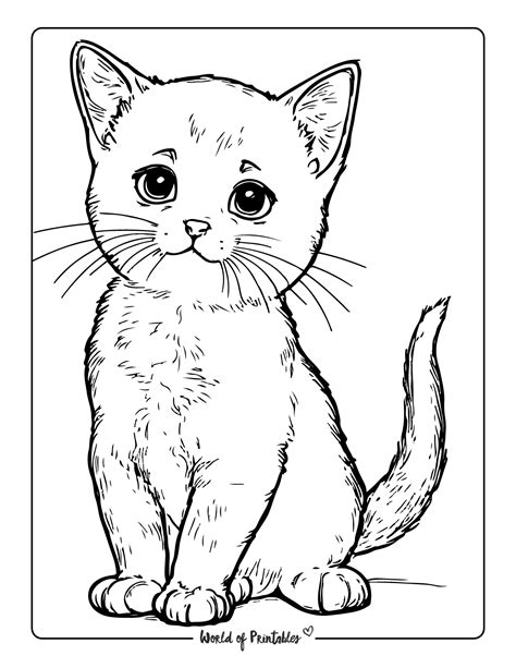 Cat Coloring Pages