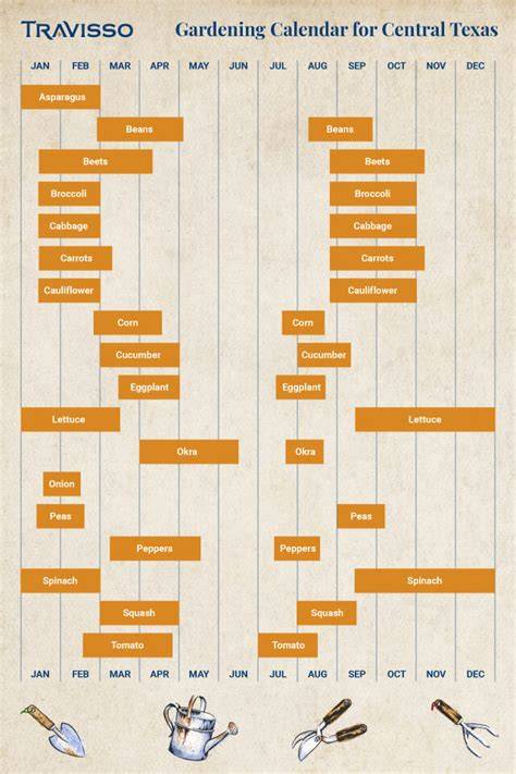 Central Texas Gardening Calendar