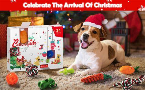 dog advent calendar with treats