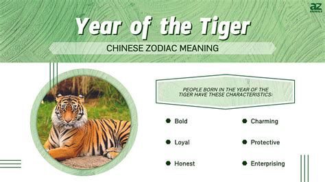 Chinese Calendar Tiger Personality