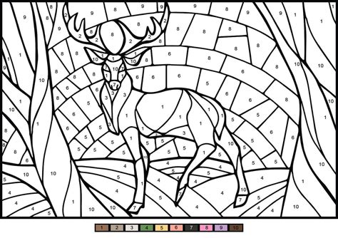 Color By Number Animals For Adults