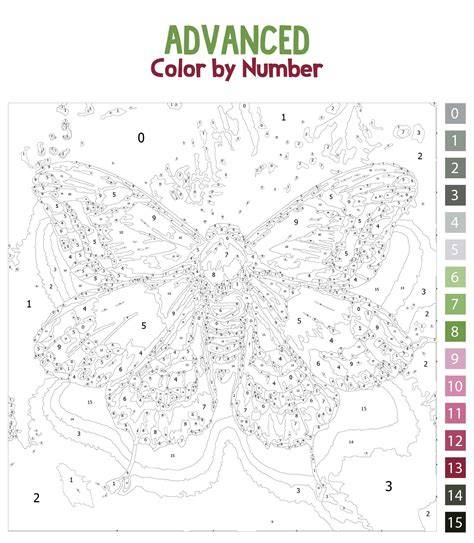 Color By Number Difficult Printable
