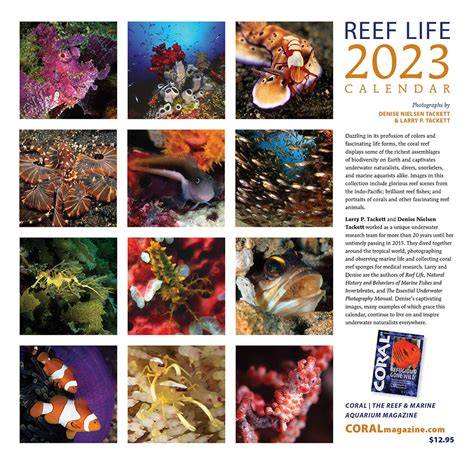 coral island calendar