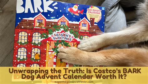 dog treat advent calendar
