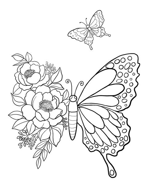 Coloring Book Images Of Butterflies