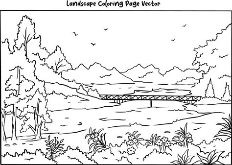 Coloring View