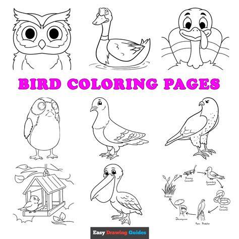 Colouring Bird Pictures