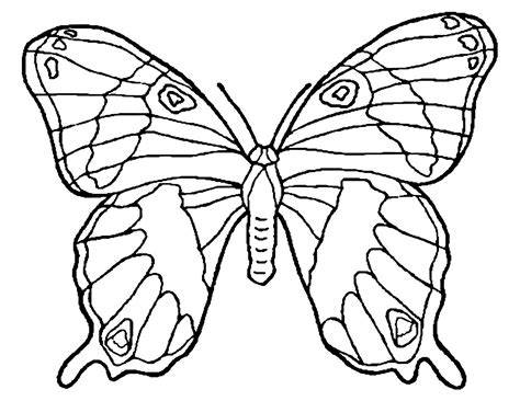 Colouring Butterfly Drawing