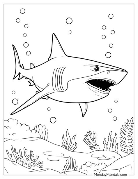 Colouring Pages Shark