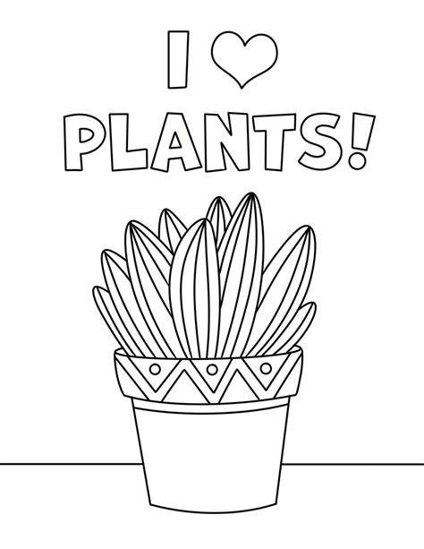 Colouring Plant