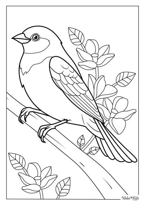 Colouring Sheets Birds