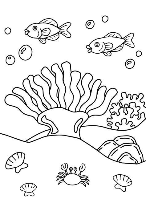 Coral Reef Animals Coloring Pages
