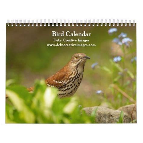 Daily Bird Calendar