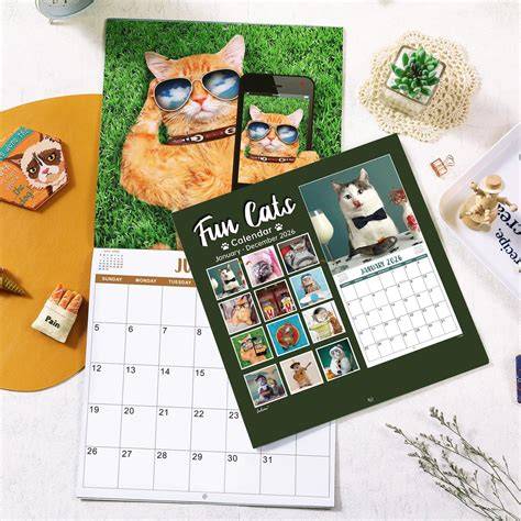 funny 2025 calendar