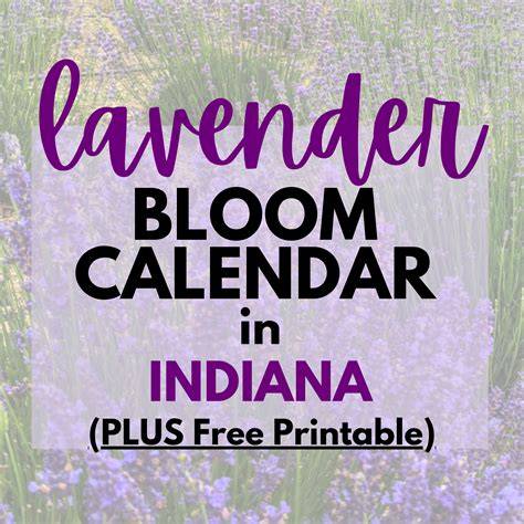indiana u calendar