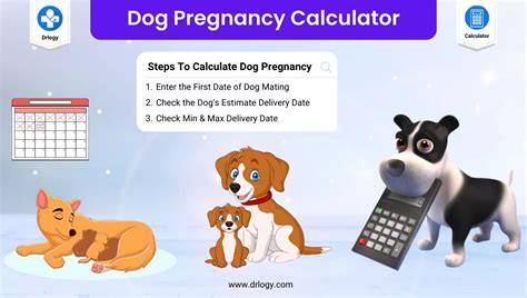 dog pregnancy calendar