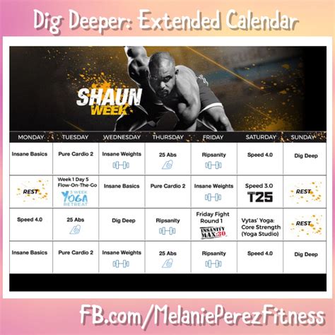 Dig Deeper Shaun T Calendar