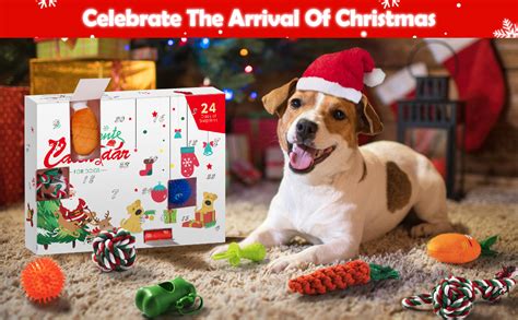 dog toy advent calendar